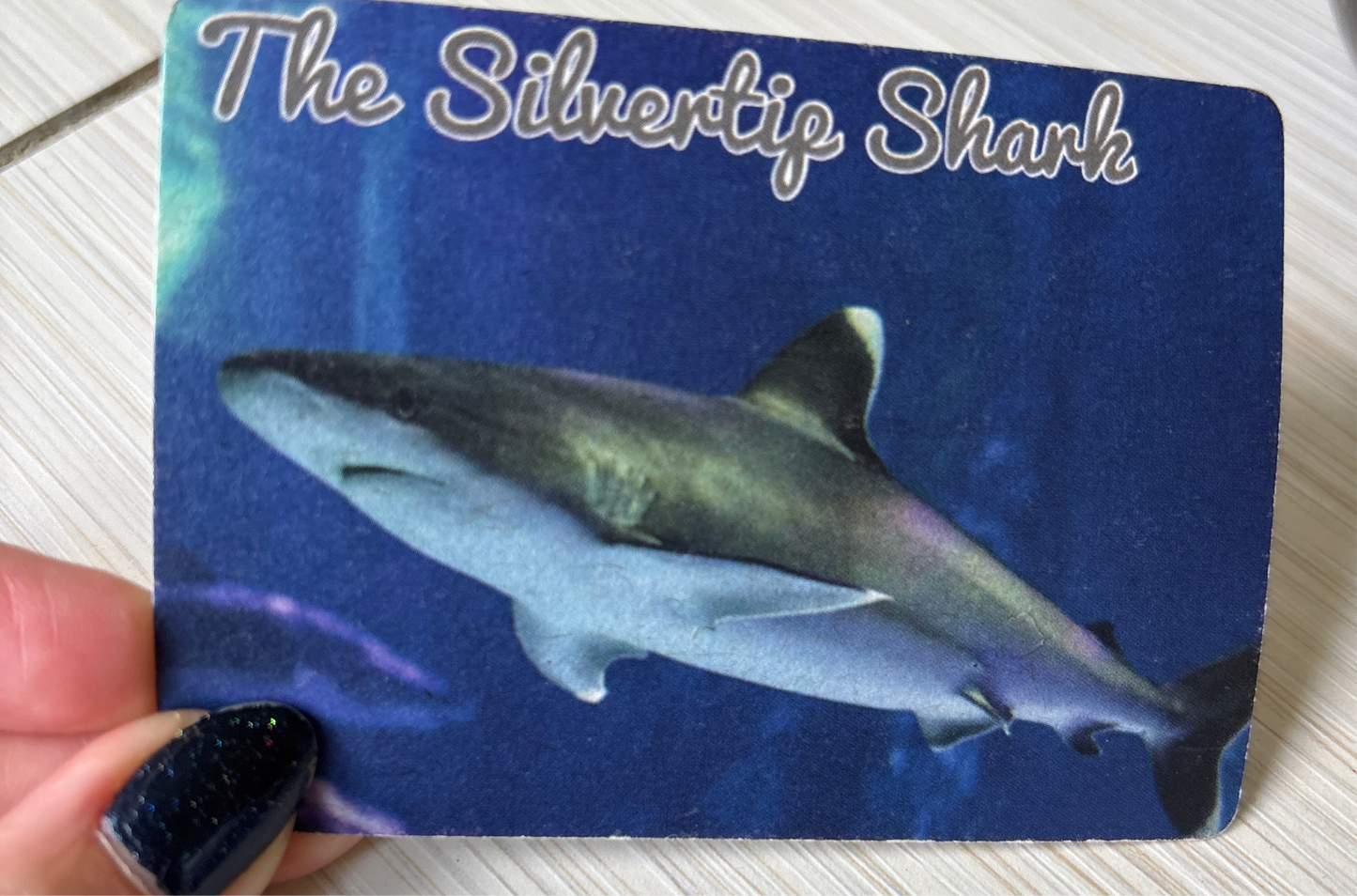 Daily Shark Oracle Deck