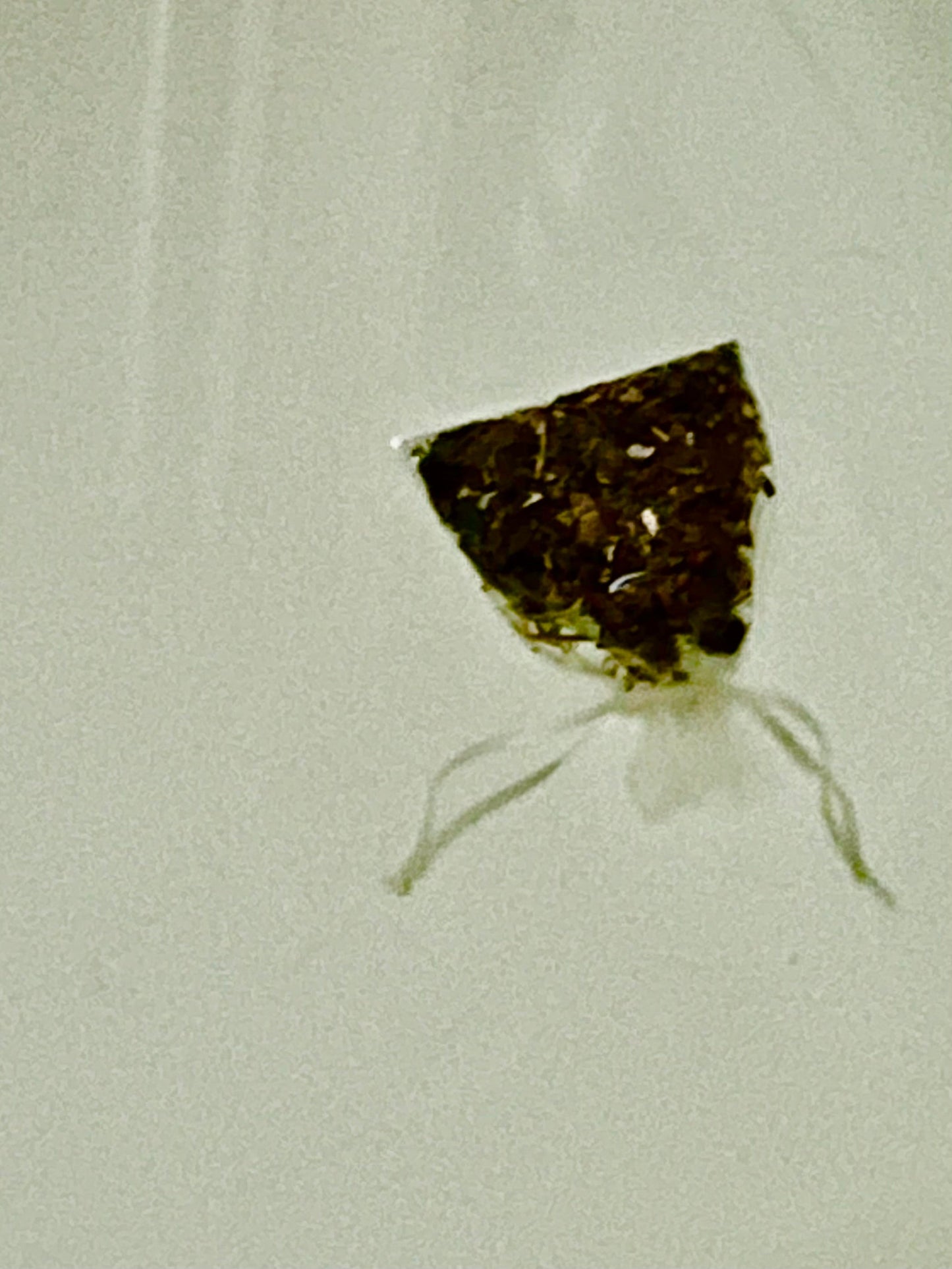 Betwixt & Between Bath Sachets