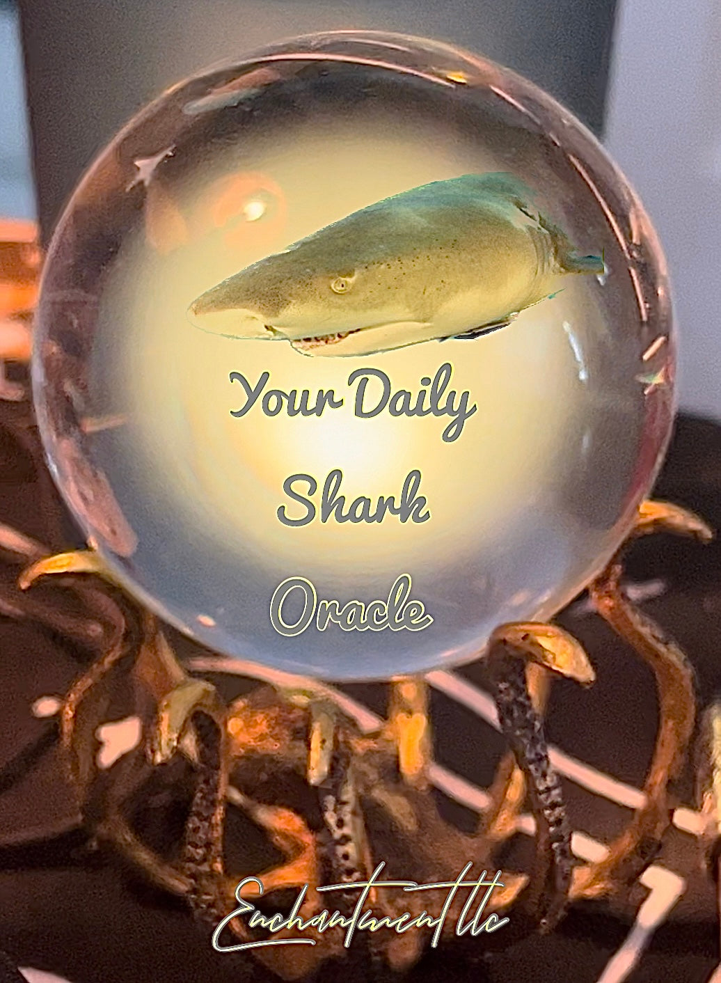 Daily Shark Oracle Deck