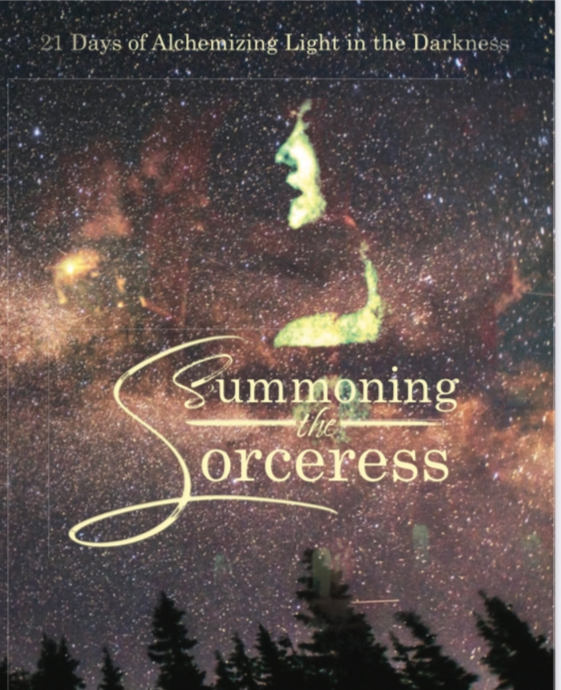 Summoning the Sorceress Book
