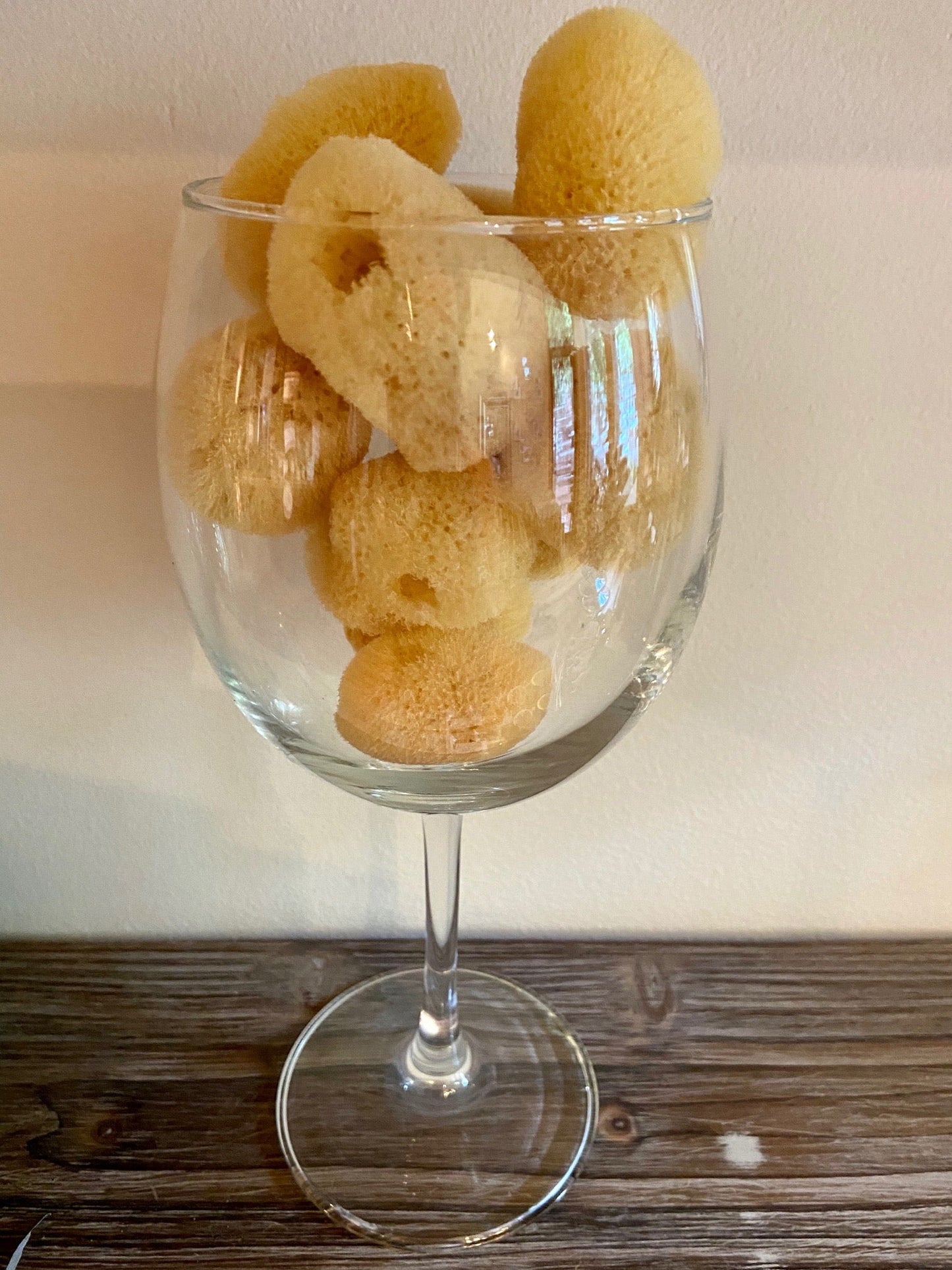 Sustainably Harvested Atlantic Sea-Silk Sponges