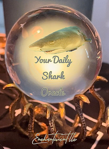 Daily Shark Oracle Deck