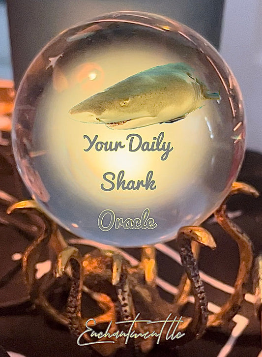 Daily Shark Oracle Deck