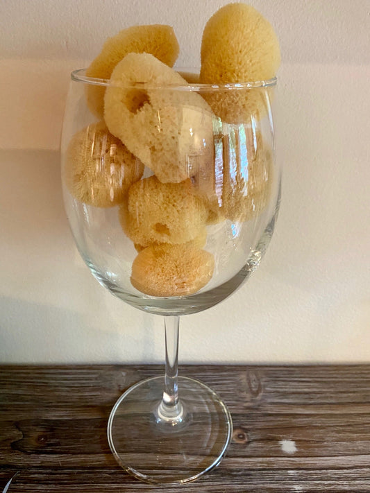 Sustainably Harvested Atlantic Sea-Silk Sponges